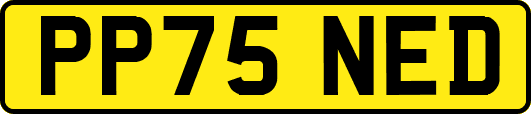 PP75NED