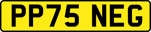 PP75NEG