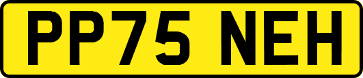 PP75NEH