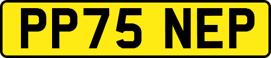 PP75NEP