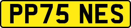 PP75NES