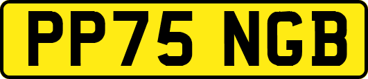 PP75NGB