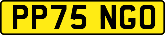 PP75NGO
