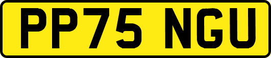 PP75NGU
