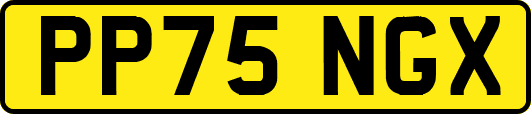 PP75NGX