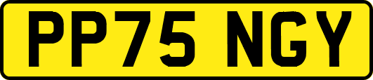 PP75NGY