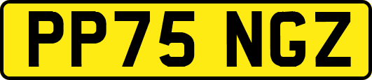 PP75NGZ