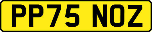 PP75NOZ