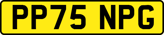 PP75NPG
