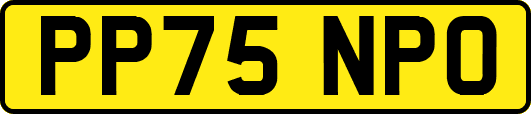 PP75NPO