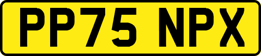 PP75NPX