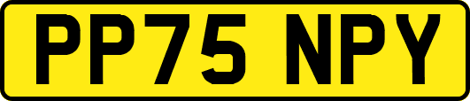 PP75NPY