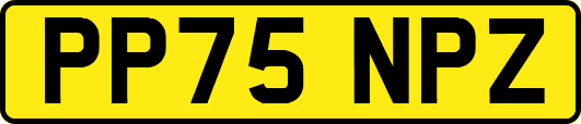 PP75NPZ