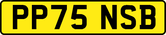 PP75NSB