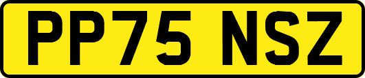PP75NSZ