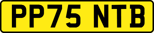 PP75NTB