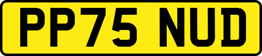 PP75NUD