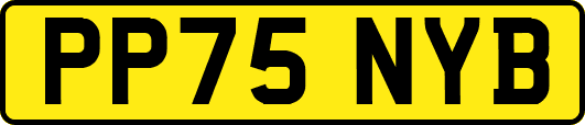 PP75NYB