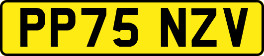 PP75NZV