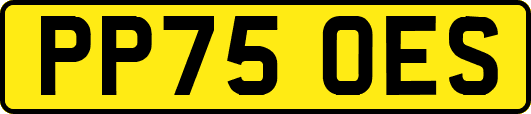 PP75OES