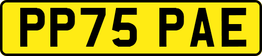 PP75PAE