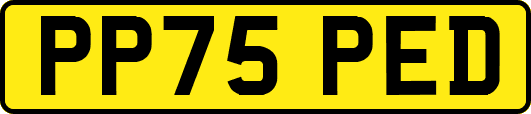 PP75PED
