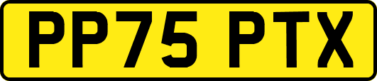 PP75PTX