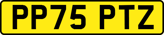 PP75PTZ