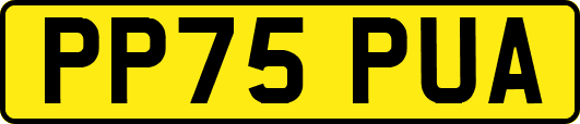 PP75PUA