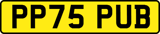 PP75PUB