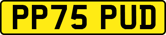 PP75PUD