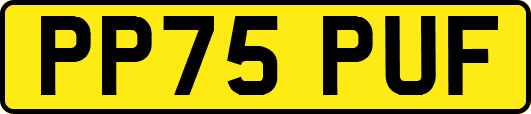 PP75PUF
