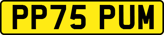PP75PUM