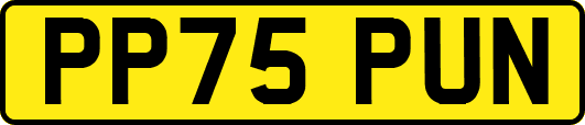 PP75PUN