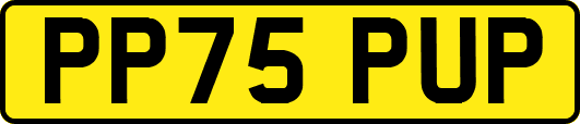 PP75PUP