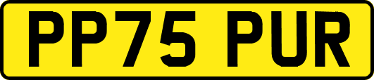 PP75PUR