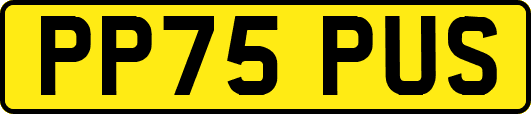 PP75PUS