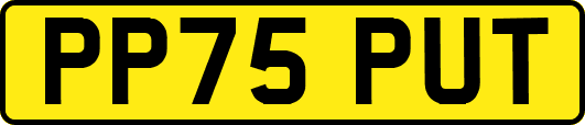 PP75PUT