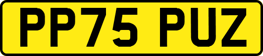 PP75PUZ