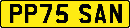 PP75SAN