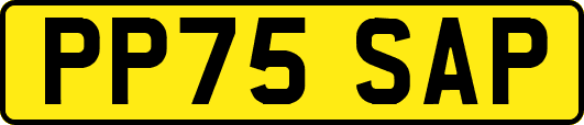 PP75SAP