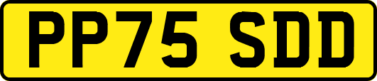 PP75SDD