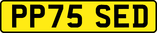 PP75SED
