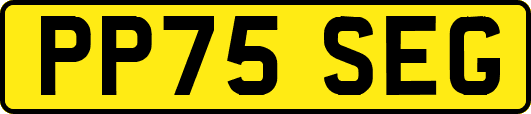 PP75SEG