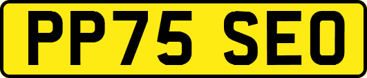 PP75SEO