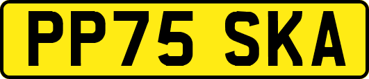 PP75SKA