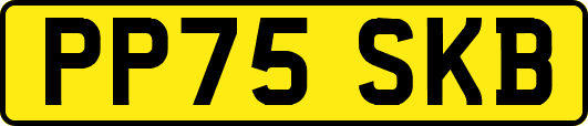 PP75SKB
