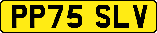 PP75SLV