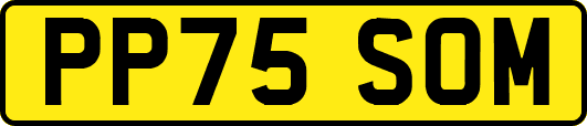 PP75SOM