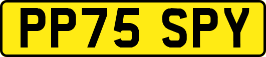 PP75SPY